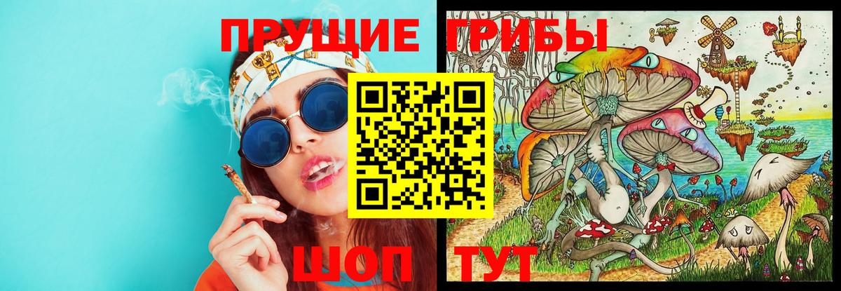 Видное  где продают   Вход с VPN  Галлюциногенные грибы мицелий 