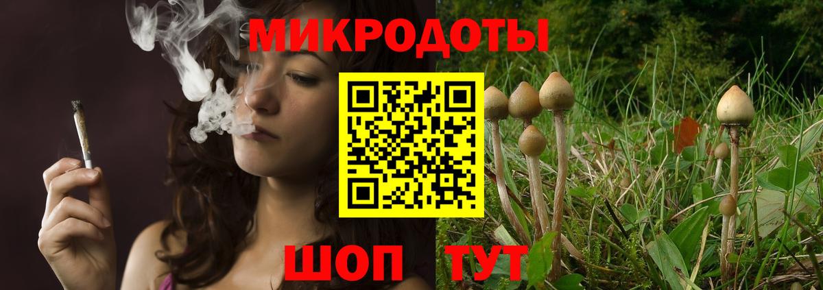 Галлюциногенные грибы мухоморы Видное